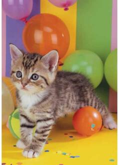 Wenskaarten blanco dier pak a 10 stuks multi