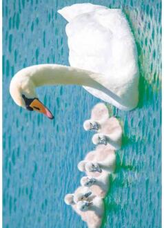 Wenskaarten blanco dierpak a 10 stuks multi