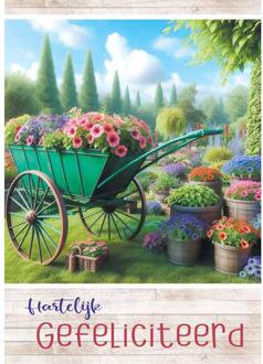 Wenskaarten Gefeliciteerd pak a 10 stuks multi