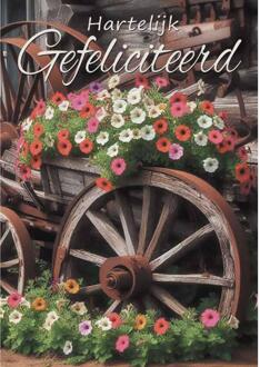 Wenskaarten Gefeliciteerd pak a 10 stuks multi