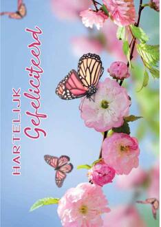 Wenskaarten Gefeliciteerd pak a 10 stuks multi