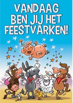 Wenskaarten Gefeliciteerd pak a 10 stuks multi