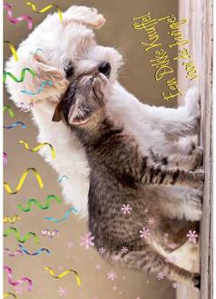 Wenskaarten Gefeliciteerd pak a 10 stuks multi