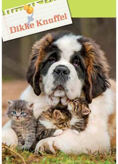 Wenskaarten Groetjes 10 stuks multi