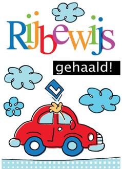 Wenskaarten Rijbewijs pak a 10 stuks multi