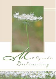 Wenskaarten Rouw pak a 10 stuks multi