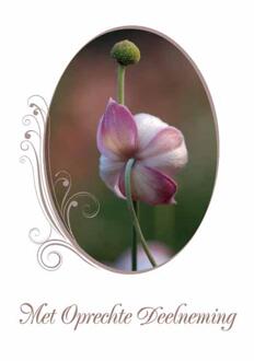 Wenskaarten Rouw pak a 10 stuks multi