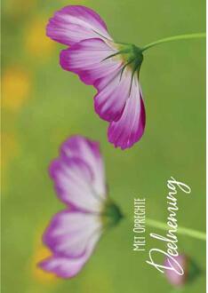 Wenskaarten Rouw pak a 10 stuks multi