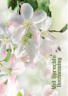 Wenskaarten Rouw pak a 10 stuks multi