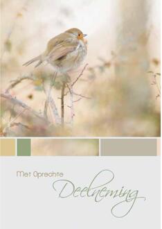 Wenskaarten Rouw pak a 10 stuks multi