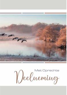 Wenskaarten Rouw pak a 10 stuks multi