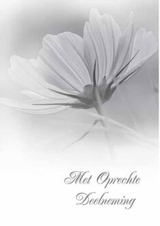 Wenskaarten Rouw pak a 10 stuks multi