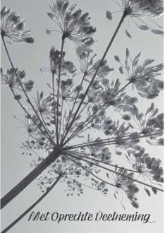 Wenskaarten Rouw pak a 10 stuks multi