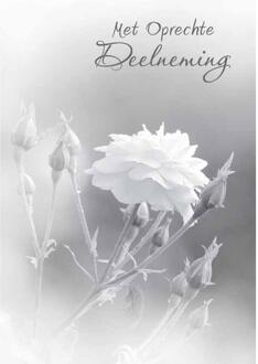 Wenskaarten Rouw pak a 10 stuks multi