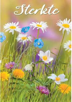 Wenskaarten Sterkte pak a 10 stuks multi