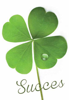 Wenskaarten Veel Geluk pak a 10 stuks multi