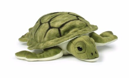 Wereld Natuur Fonds zee schildpad 23 cm - Knuffeldier Groen