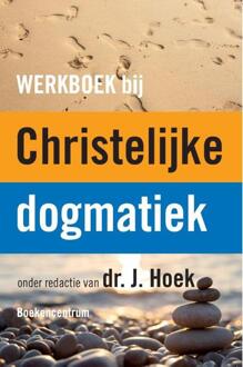 Werkboek bij de Christelijke dogmatiek - Boek VBK Media (9023970195)