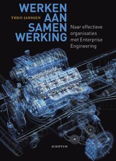 Werken aan samenwerking - Boek Theo Janssen (9055949159)