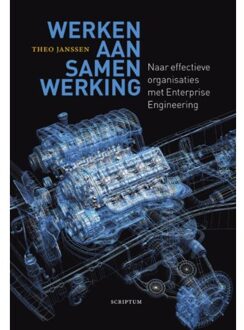 Werken aan samenwerking - Boek Theo Janssen (9055949159)