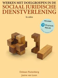 Werken met doelgroepen in de sociaaljuridische dienstverlening -  Deleaan Ruitenberg, Josine van Loon (ISBN: 9789043039796)
