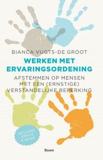 Werken met ervaringsordening - Boek Bianca Vugts-de Groot (9024402727)