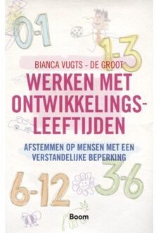 Werken met ontwikkelingsleeftijden - Boek Bianca Vugts-de Groot (9024418410)