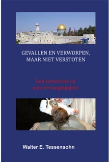 Wes Stonehens Gevallen en verworpen, maar niet verstoten - Boek Walter Tessensohn (9491026275)