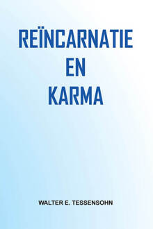 Wes Stonehens Reïncarnatie en karma - Boek Walter Tessensohn (9491026941)