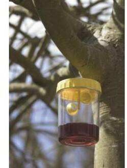 Wespenvanger/wespenval Geel 14 Cm - Insectenvangers/insectenvallen - Insectenbestrijding