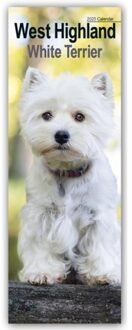 West Highland Terrier Slim Calendar 2025 Dog Breed Slimline Calendar - 12 Month - Slimline-Kalender - Avonside Publishing Ltd