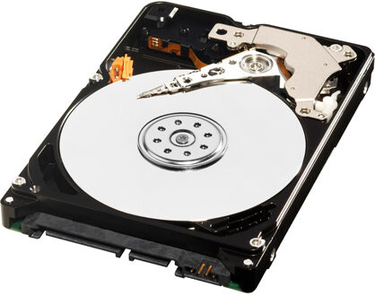 Western Digital WD AV-25 - 320 GB