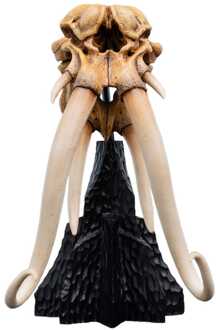 Weta Workshop Lord of the Rings Mini Statue Skull of a Mumak 15 cm