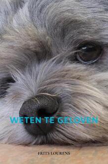 Weten Te Geloven