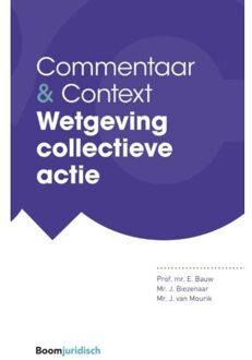 Wetgeving Collectieve Actie - Commentaar & Context