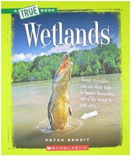 Wetlands