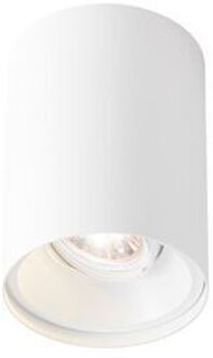Wever & Ducré Wever Ducre Solid 1.0 LED Opbouwspot - 1800-2850K - Wit - Dali