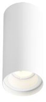 Wever & Ducré Wever Ducre Solid Petit 1.0 Spot - Wit