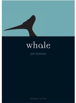 Whale - Animal - Joe Roman