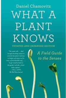 What a Plant Knows