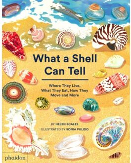 What A Shell Can Tell - Helen Scales