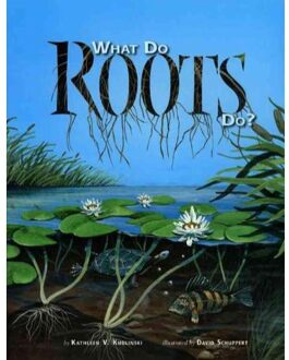 What Do Roots Do?