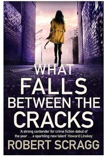 What Falls Between the Cracks