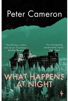 What Happens At Night - Peter Cameron
