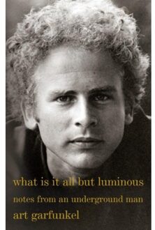 What Is It All but Luminous - Garfunkel, Art - 000