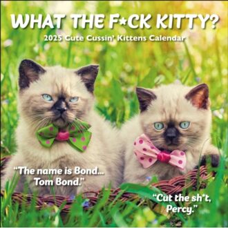 What The F*ck Kitty? Square Wall Calendar 2025 - Media, Gladstone