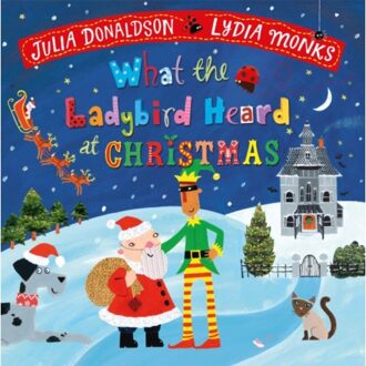 What The Ladybird Heard At Christmas - Julia Donaldson