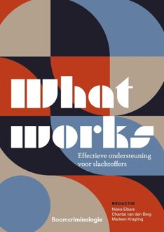 What works: Effectieve ondersteuning voor slachtoffers - - ebook