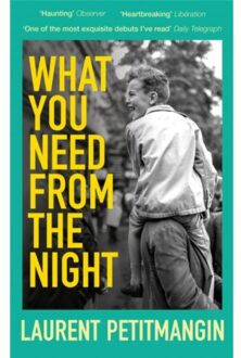 What You Need From The Night - Laurent Petitmangin