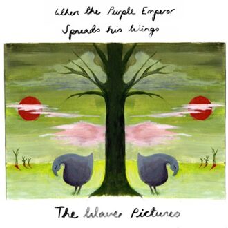 When The Purple Emperor Spreads His Wings - The Wave Pictures